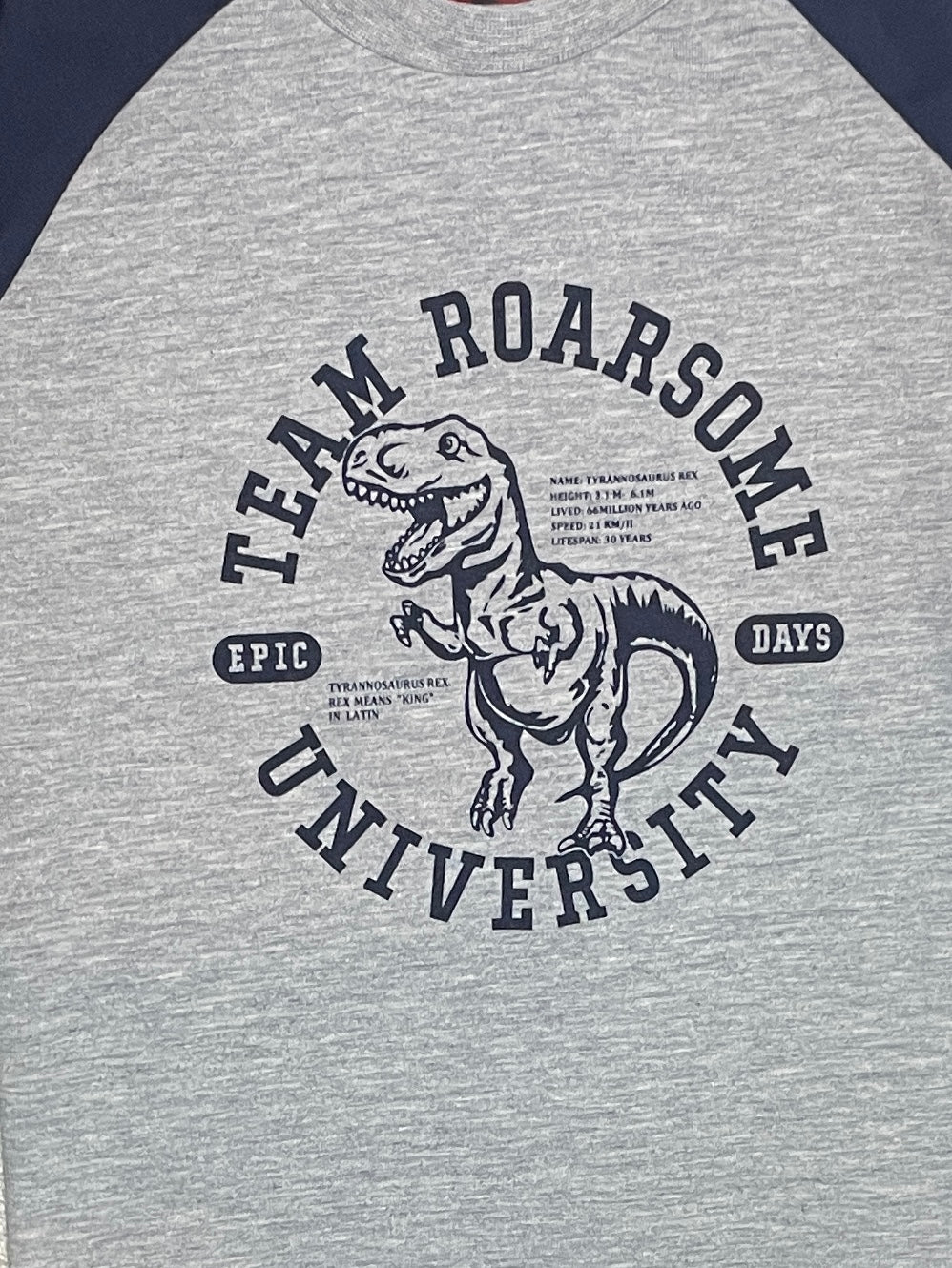 Team Roarsome Shirt